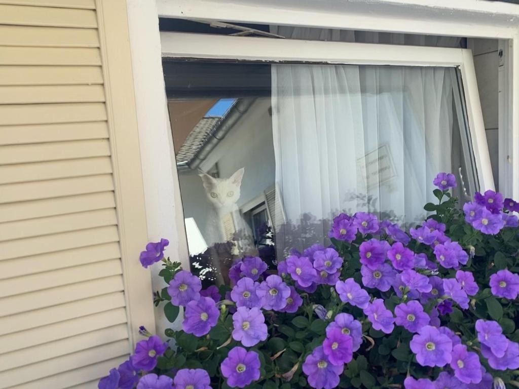 Wilsmann Apartmentvermietung Hovelhof Luaran gambar