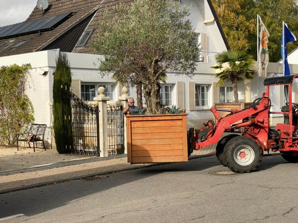 Wilsmann Apartmentvermietung Hovelhof Luaran gambar
