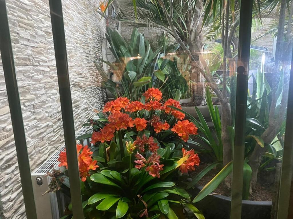 Wilsmann Apartmentvermietung Hovelhof Luaran gambar